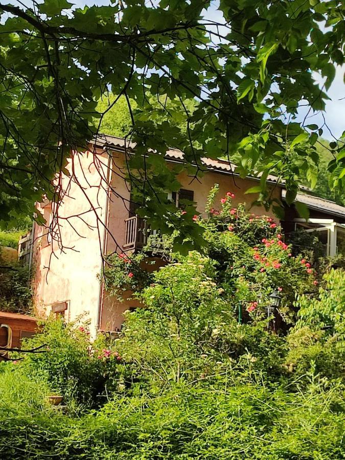 Bed and Breakfast Moulin Vieux La Bollène-Vésubie Exterior foto
