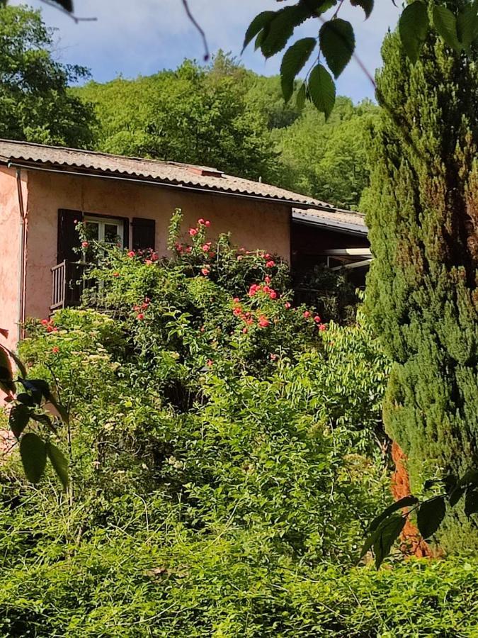 Bed and Breakfast Moulin Vieux La Bollène-Vésubie Exterior foto